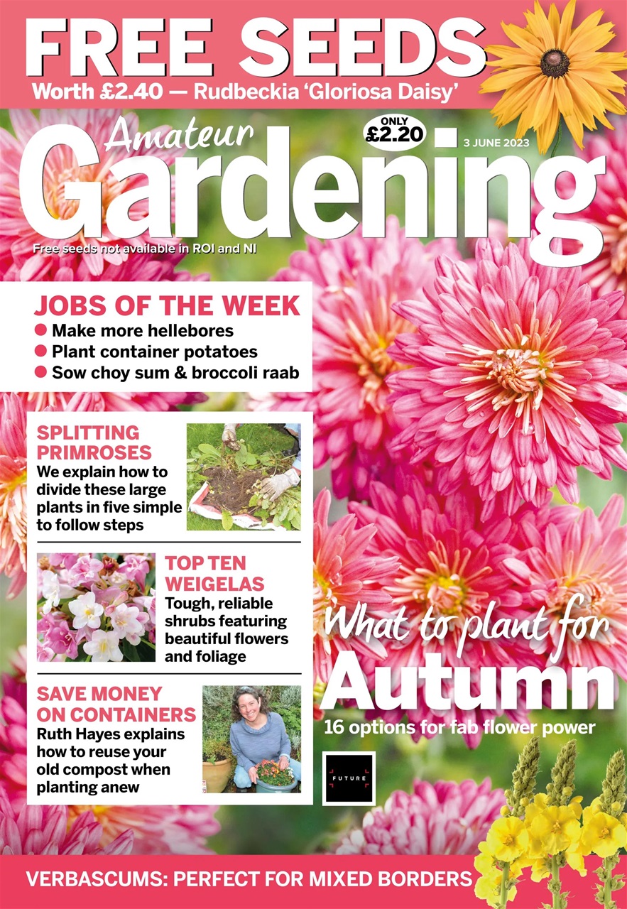 Amateur Gardening Preview Pages