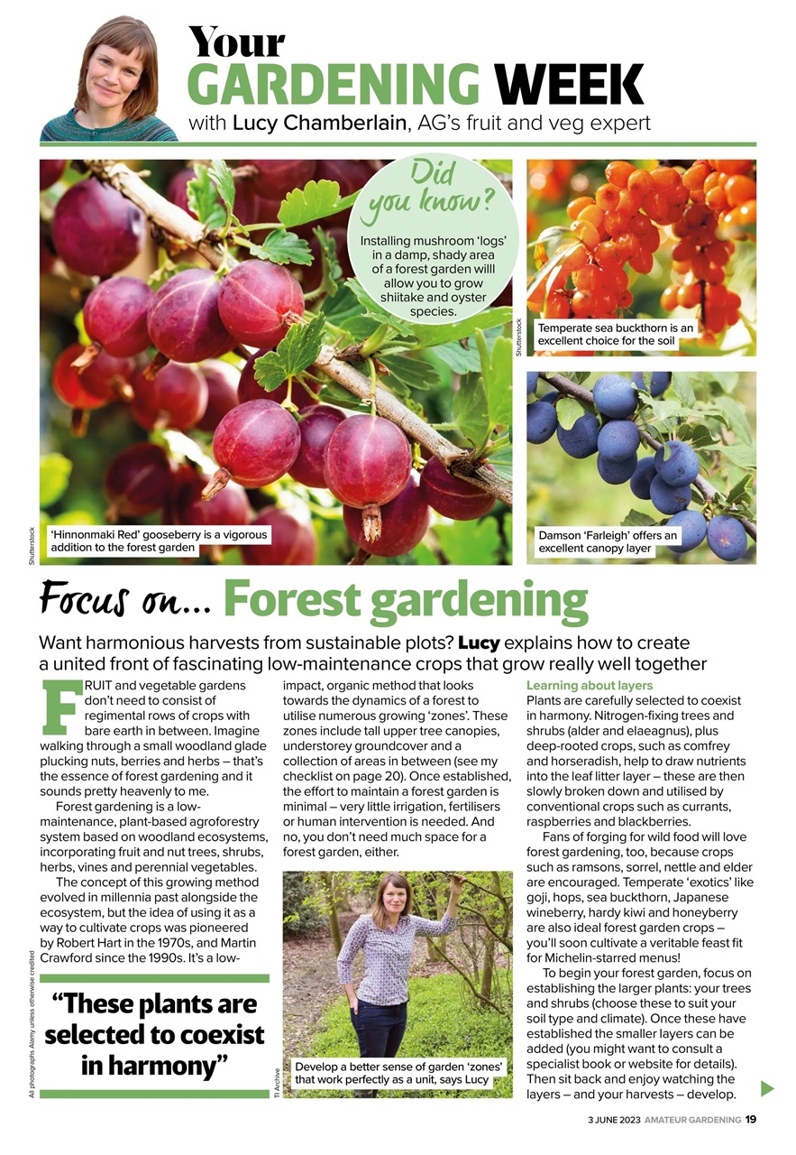 Amateur Gardening Preview Pages
