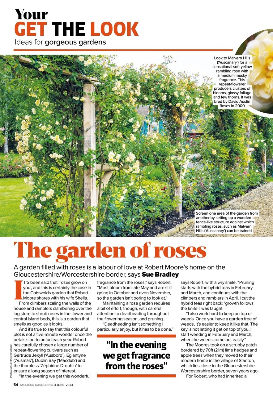 Amateur Gardening Preview Pages