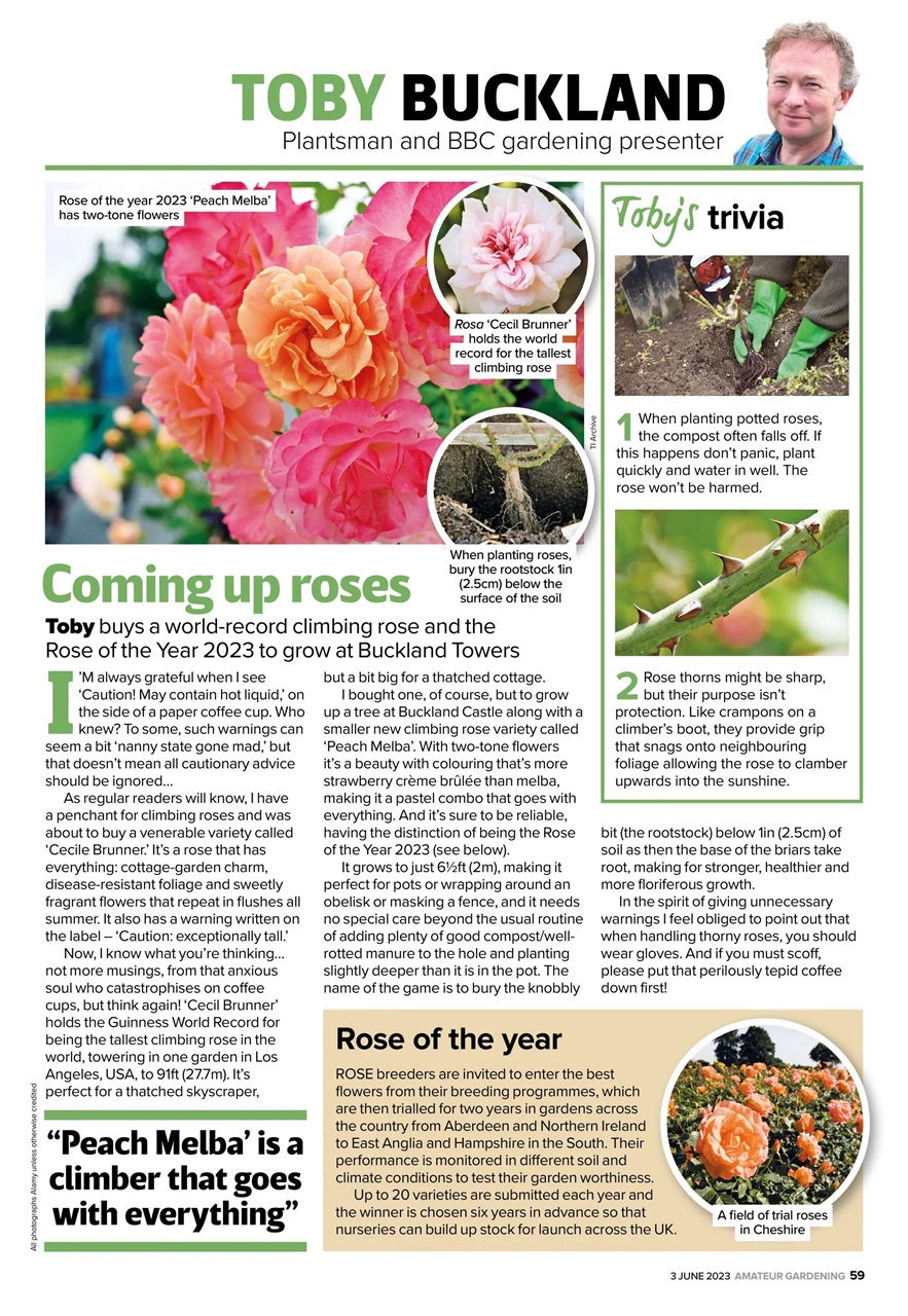 Amateur Gardening Preview Pages