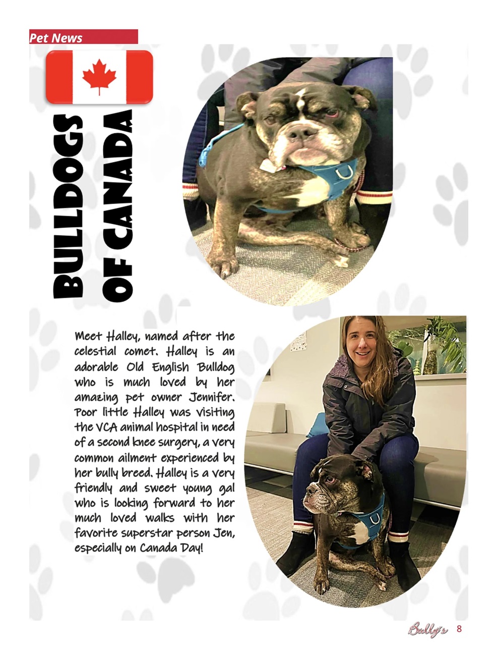 Bully’s - The Bulldog Magazine Preview Pages