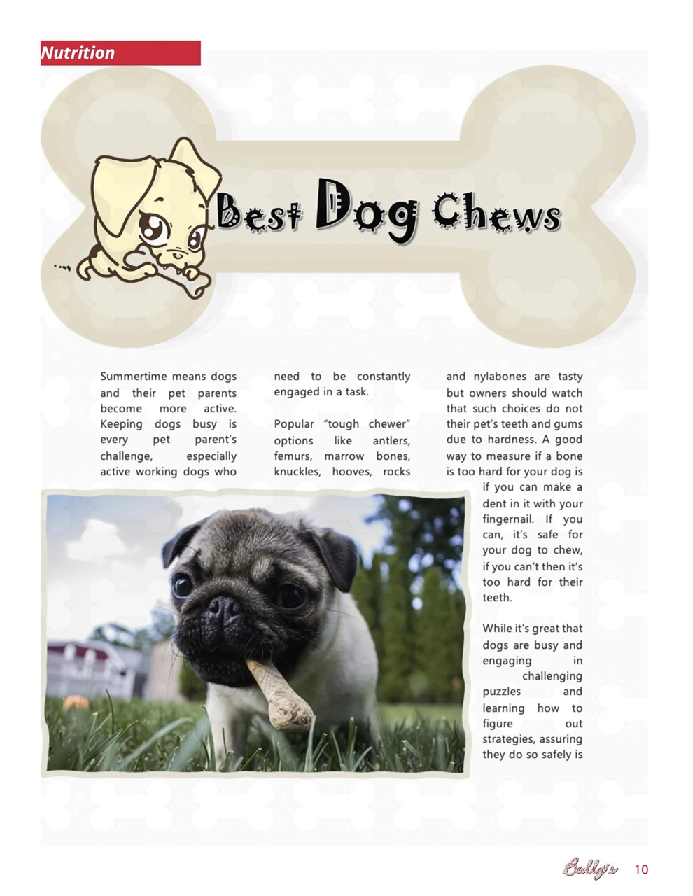 Bully’s - The Bulldog Magazine Preview Pages