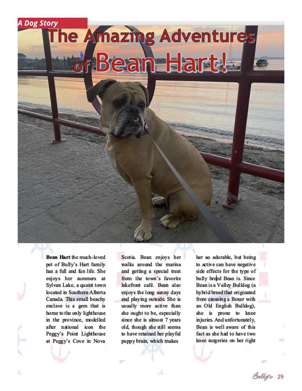 Bully’s - The Bulldog Magazine Preview Pages