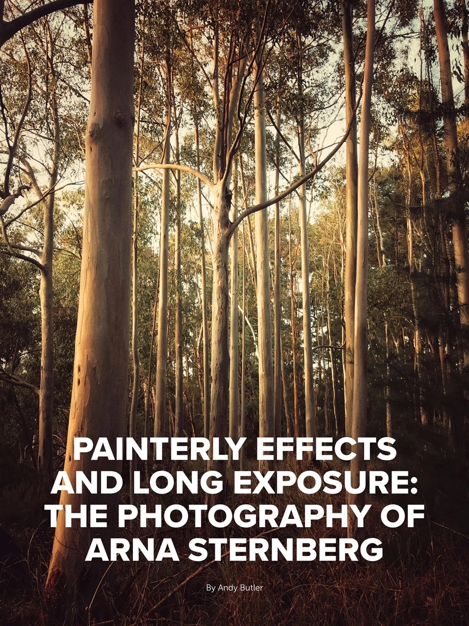 Mobiography Preview Pages