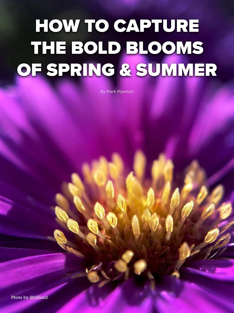 Mobiography Preview Pages