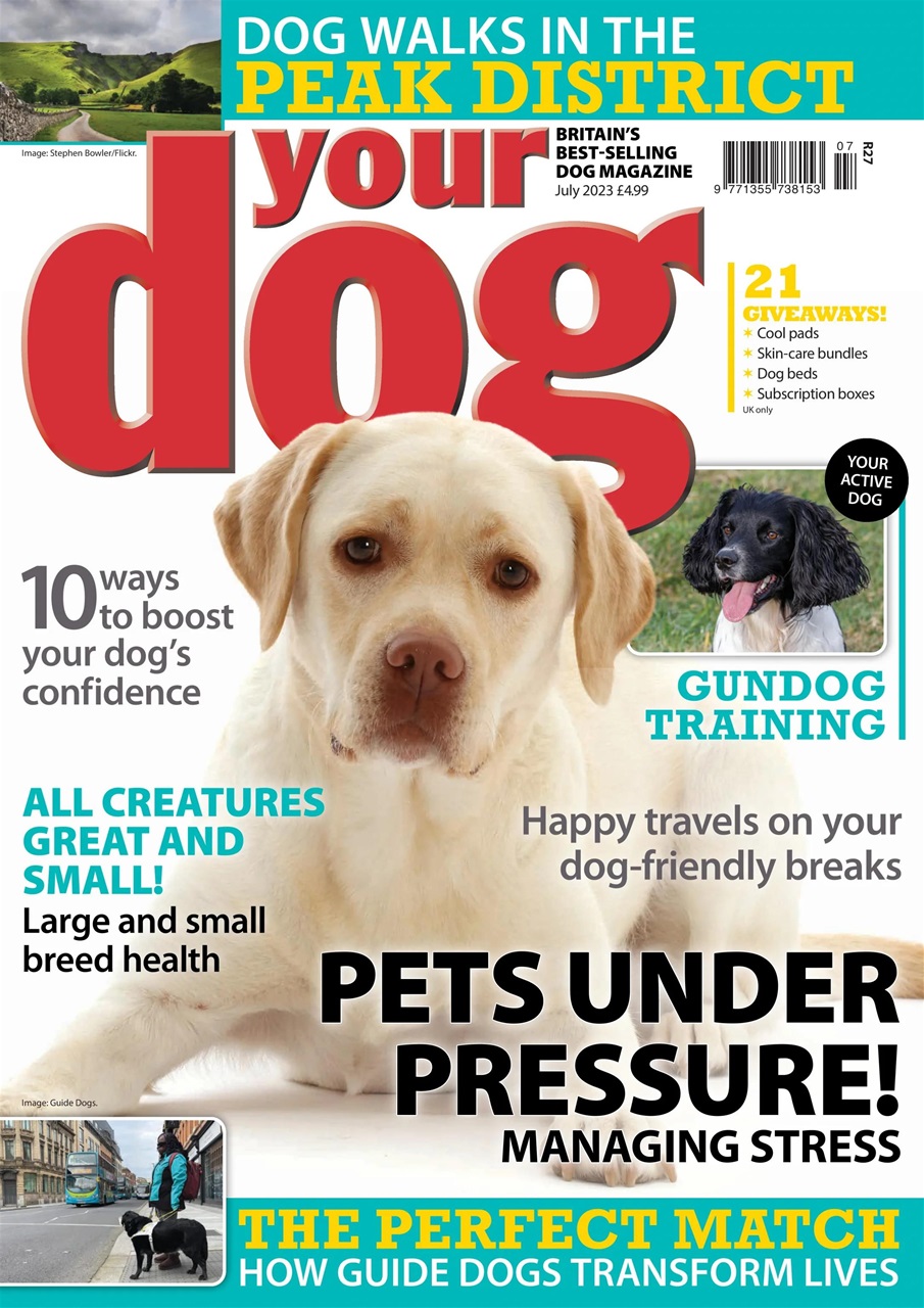 Your Dog Preview Pages