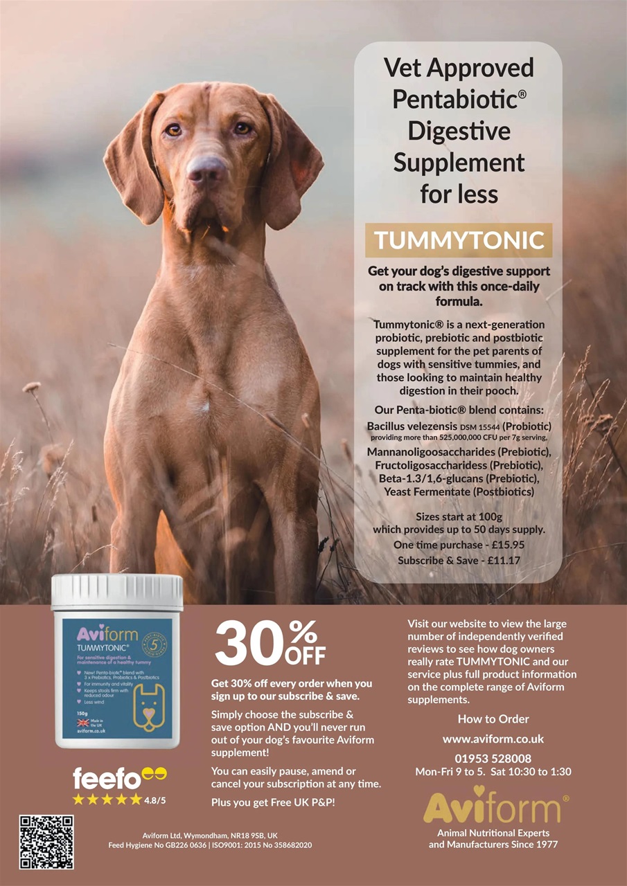 Your Dog Preview Pages