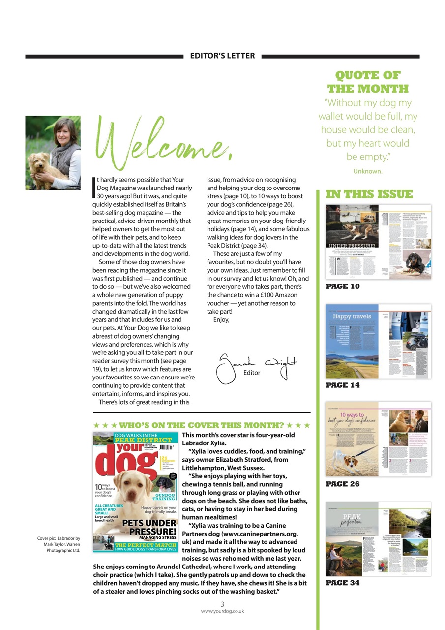 Your Dog Preview Pages