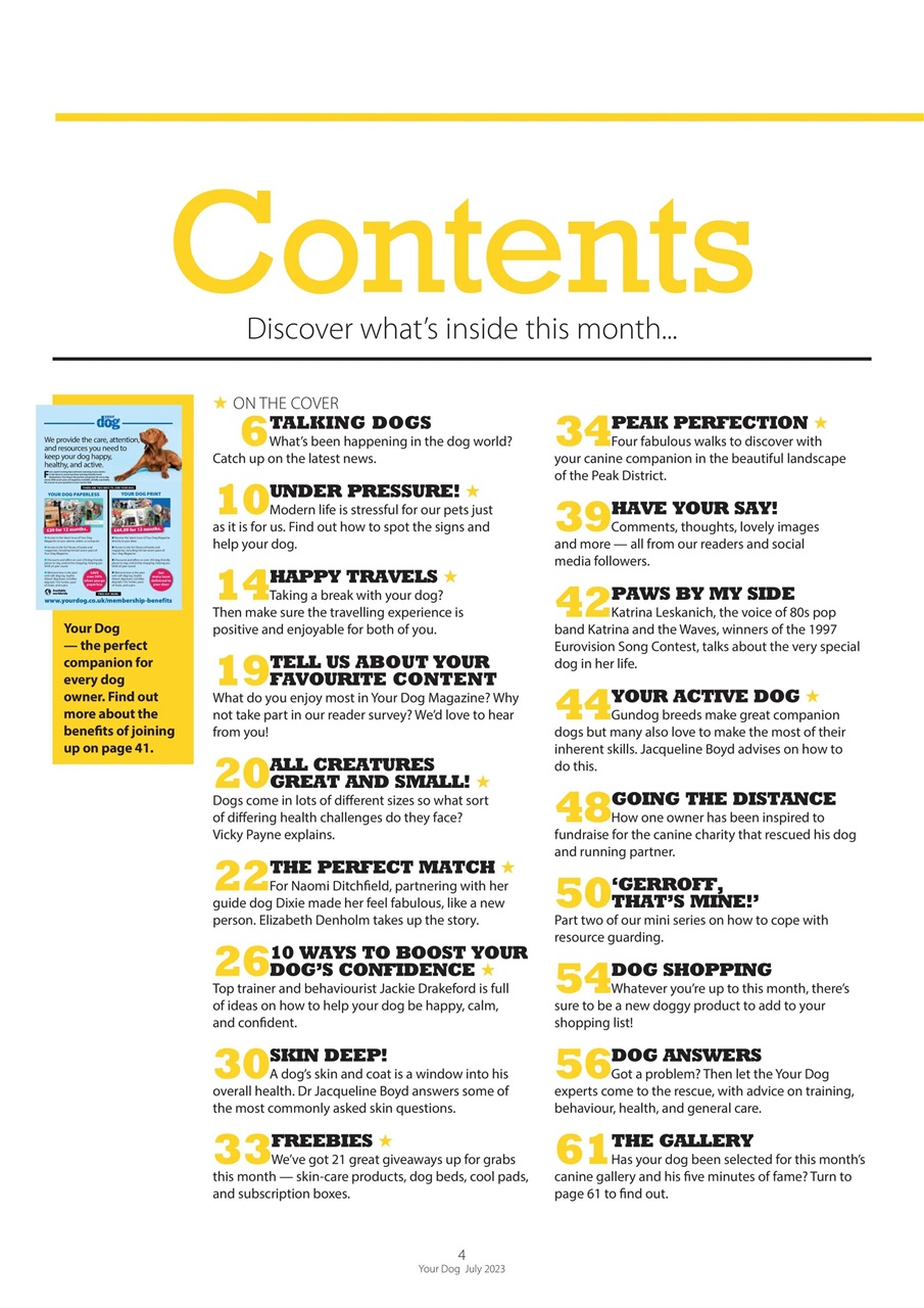 Your Dog Preview Pages