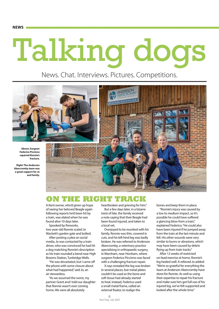 Your Dog Preview Pages