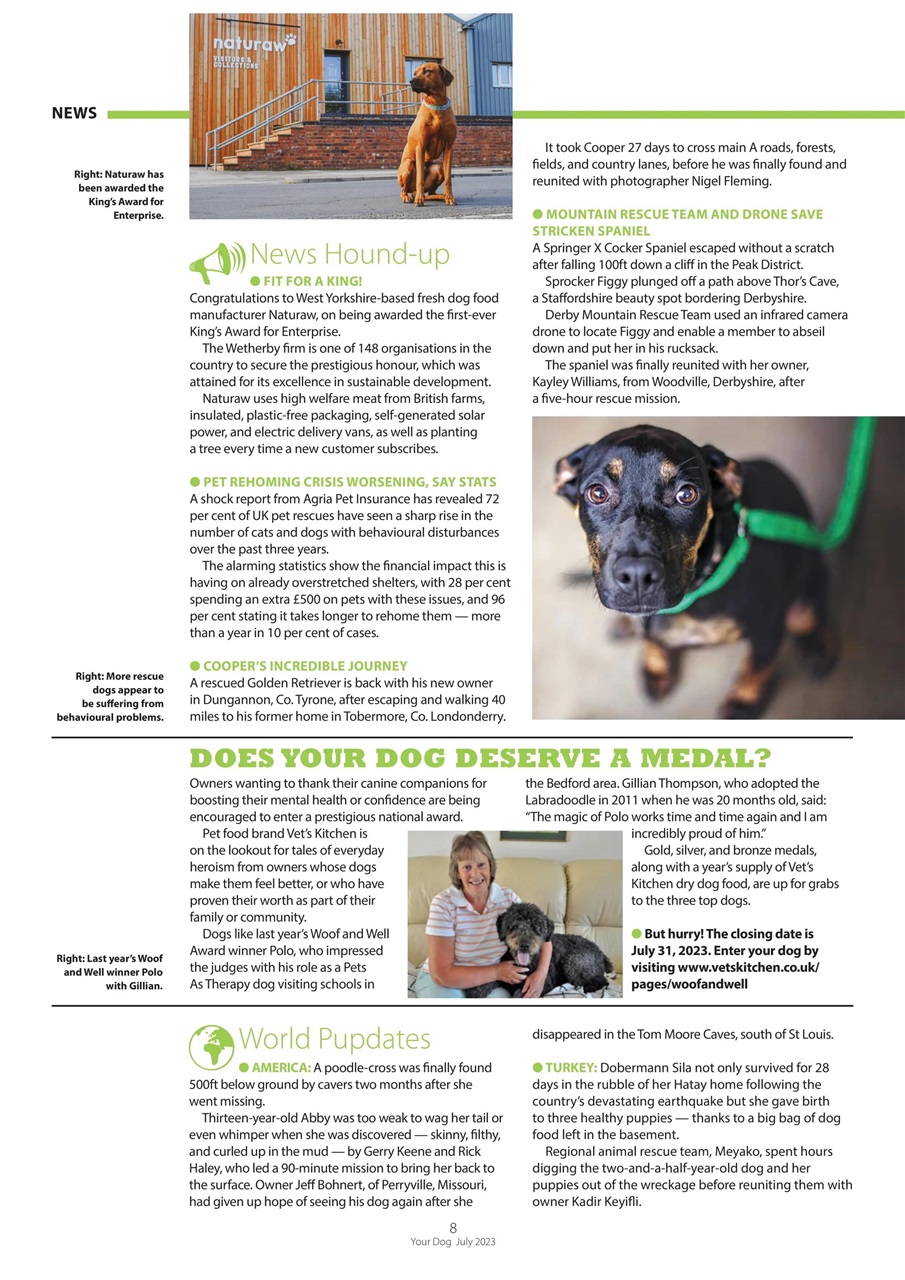 Your Dog Preview Pages