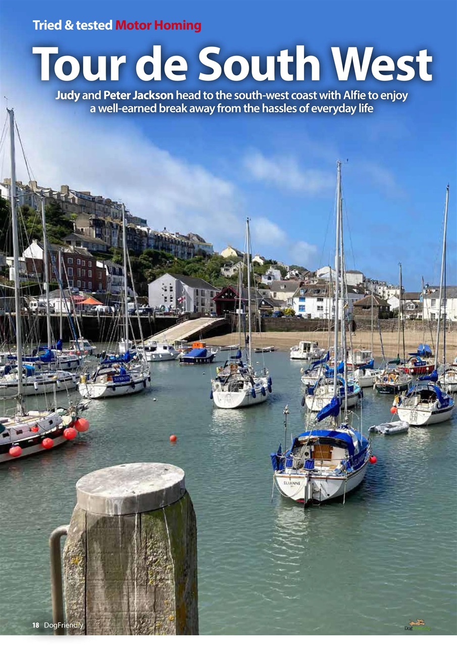 Dog Friendly Preview Pages