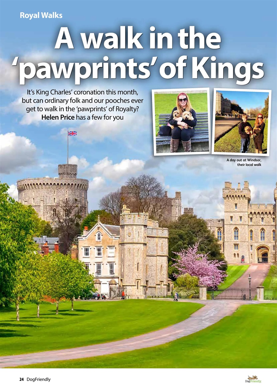 Dog Friendly Preview Pages