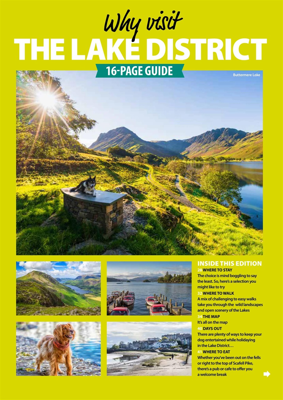 Dog Friendly Preview Pages