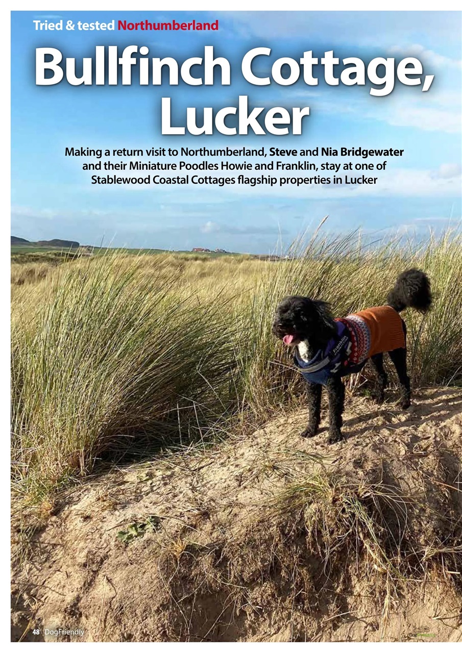 Dog Friendly Preview Pages