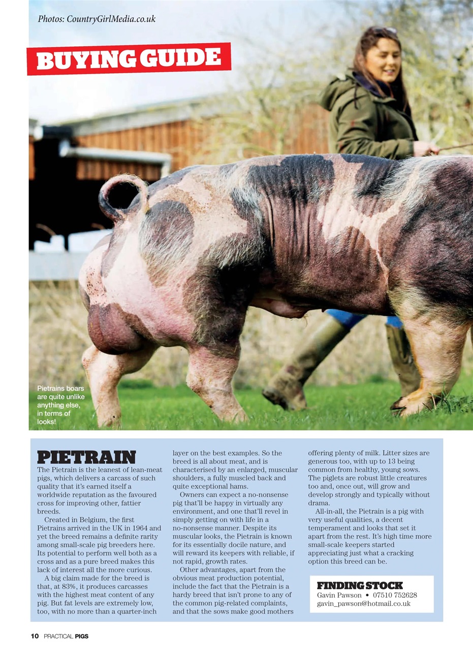 Practical Pigs Preview Pages