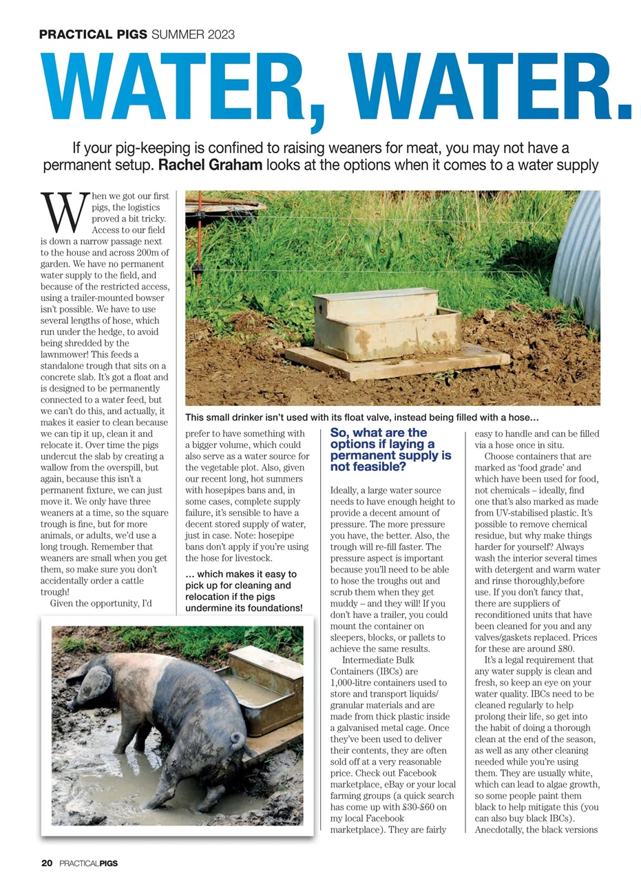 Practical Pigs Preview Pages