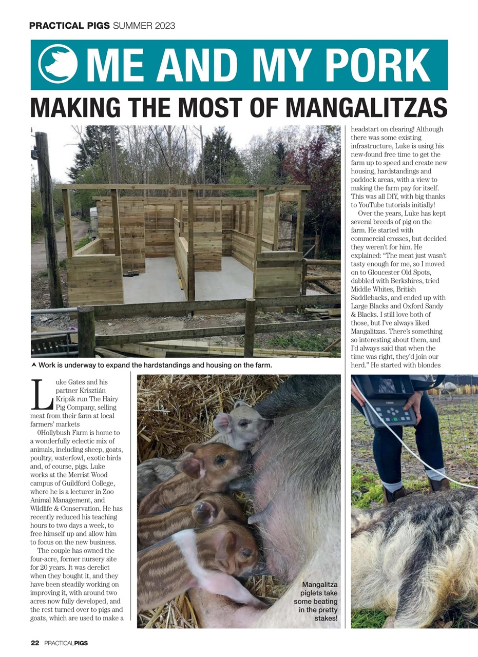 Practical Pigs Preview Pages