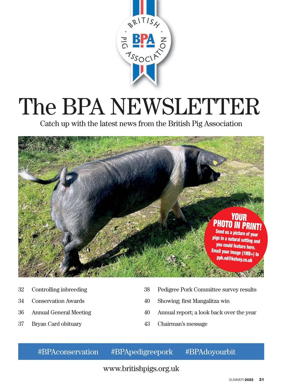 Practical Pigs Preview Pages