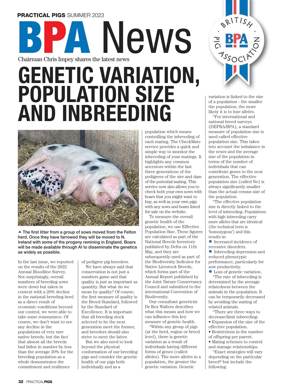 Practical Pigs Preview Pages