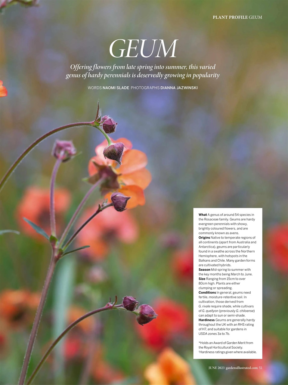 Gardens Illustrated Preview Pages