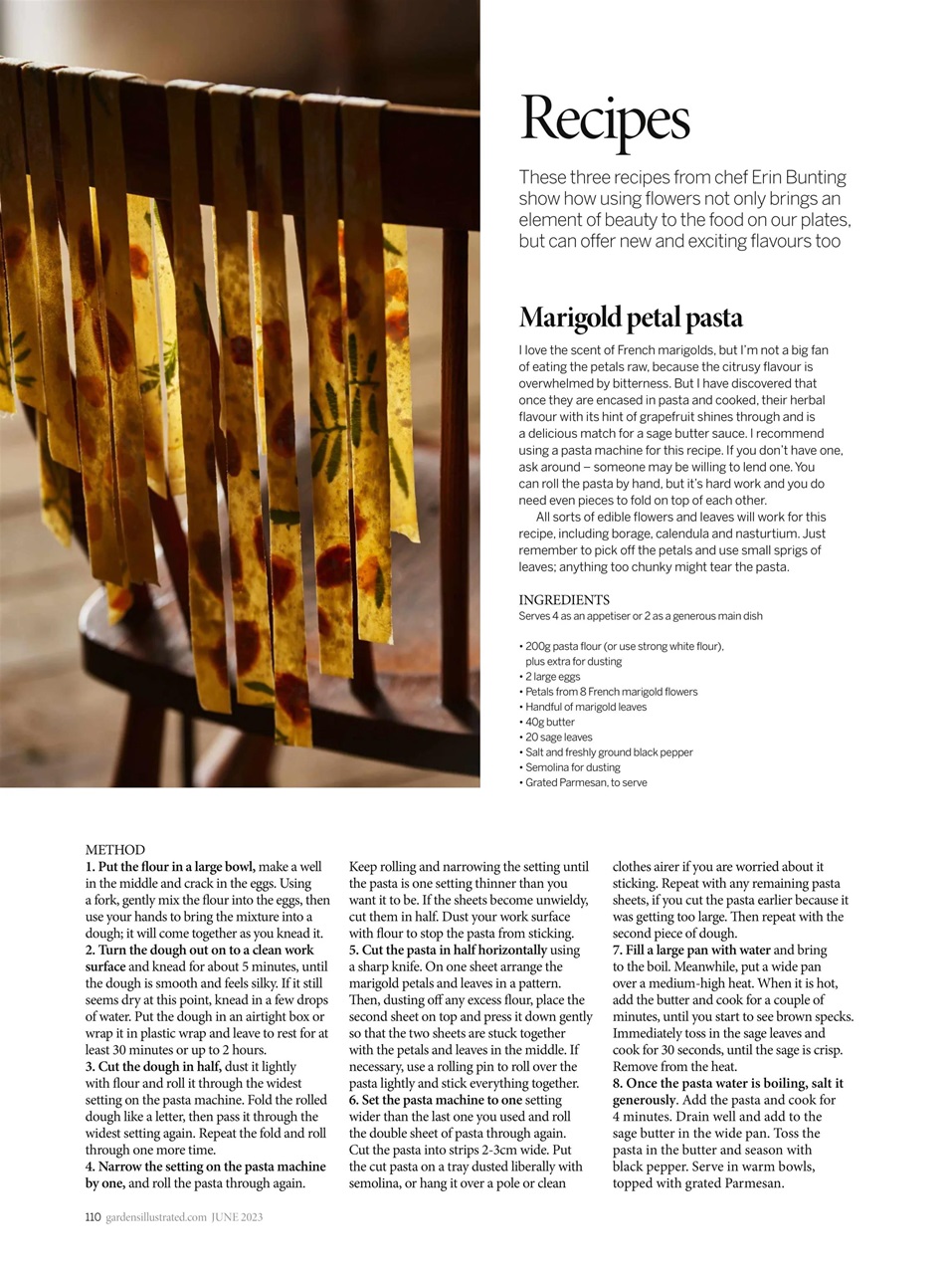 Gardens Illustrated Preview Pages