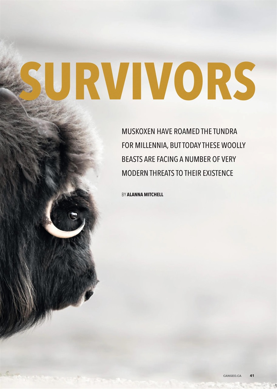 Canadian Geographic Preview Pages