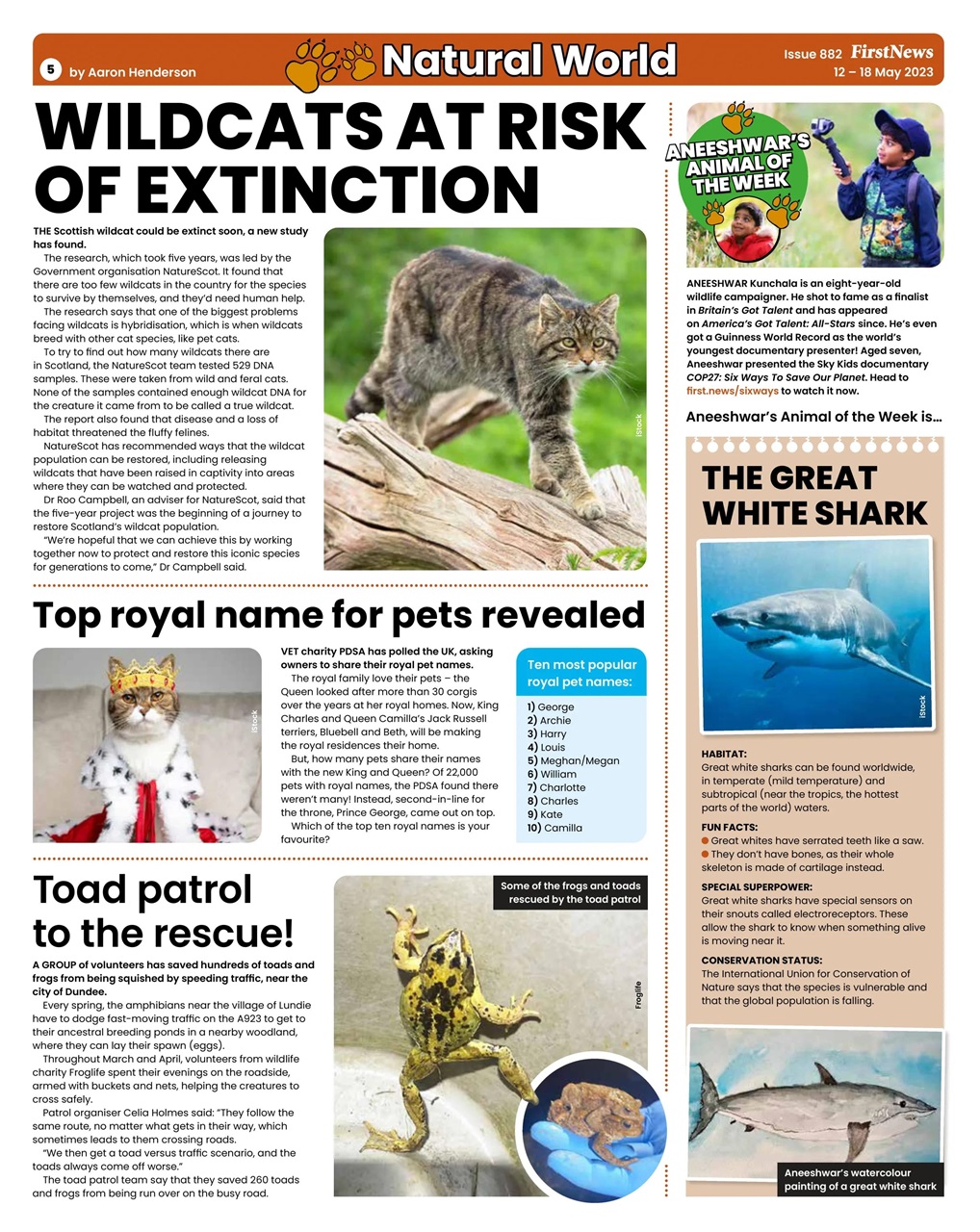 First News Preview Pages