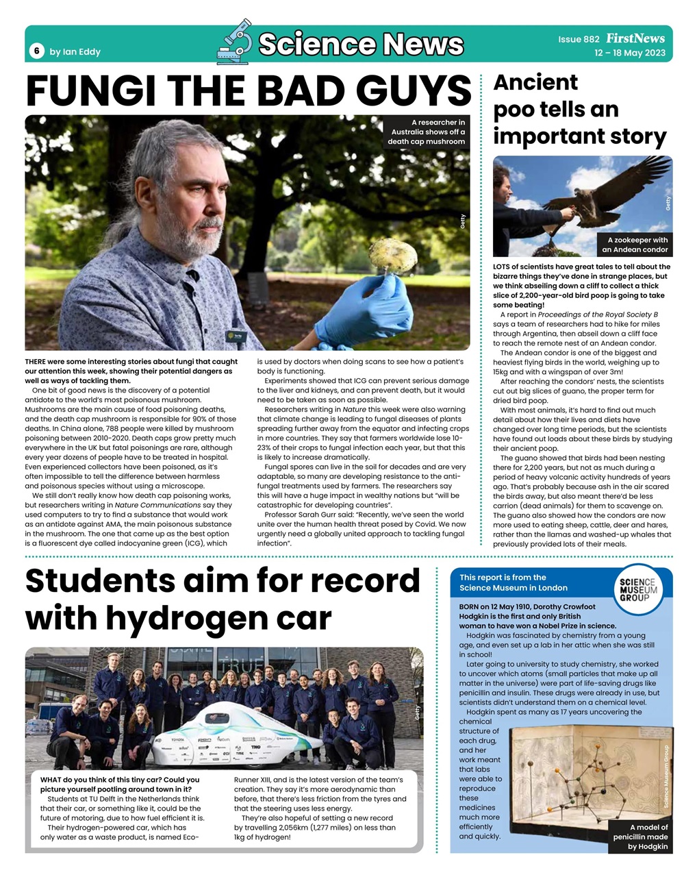 First News Preview Pages