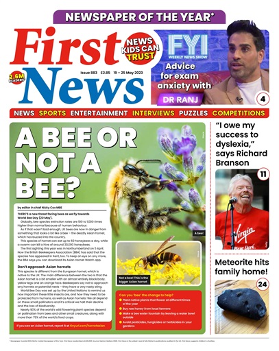 First News issue 