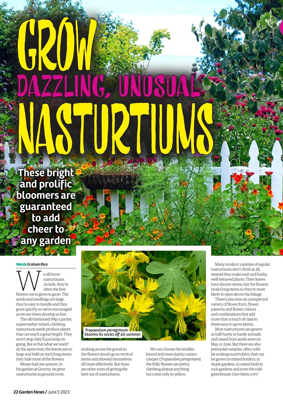 Garden News Preview Pages