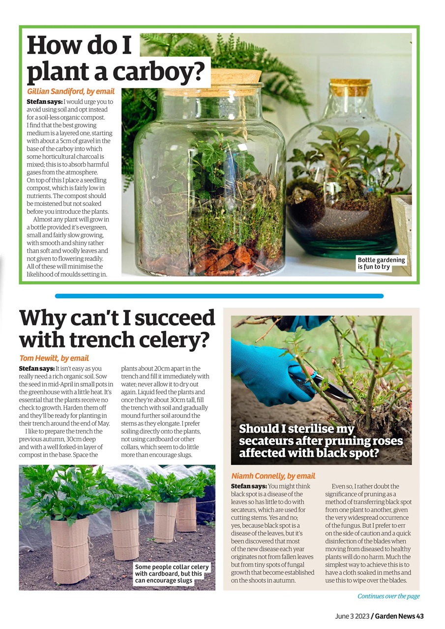 Garden News Preview Pages