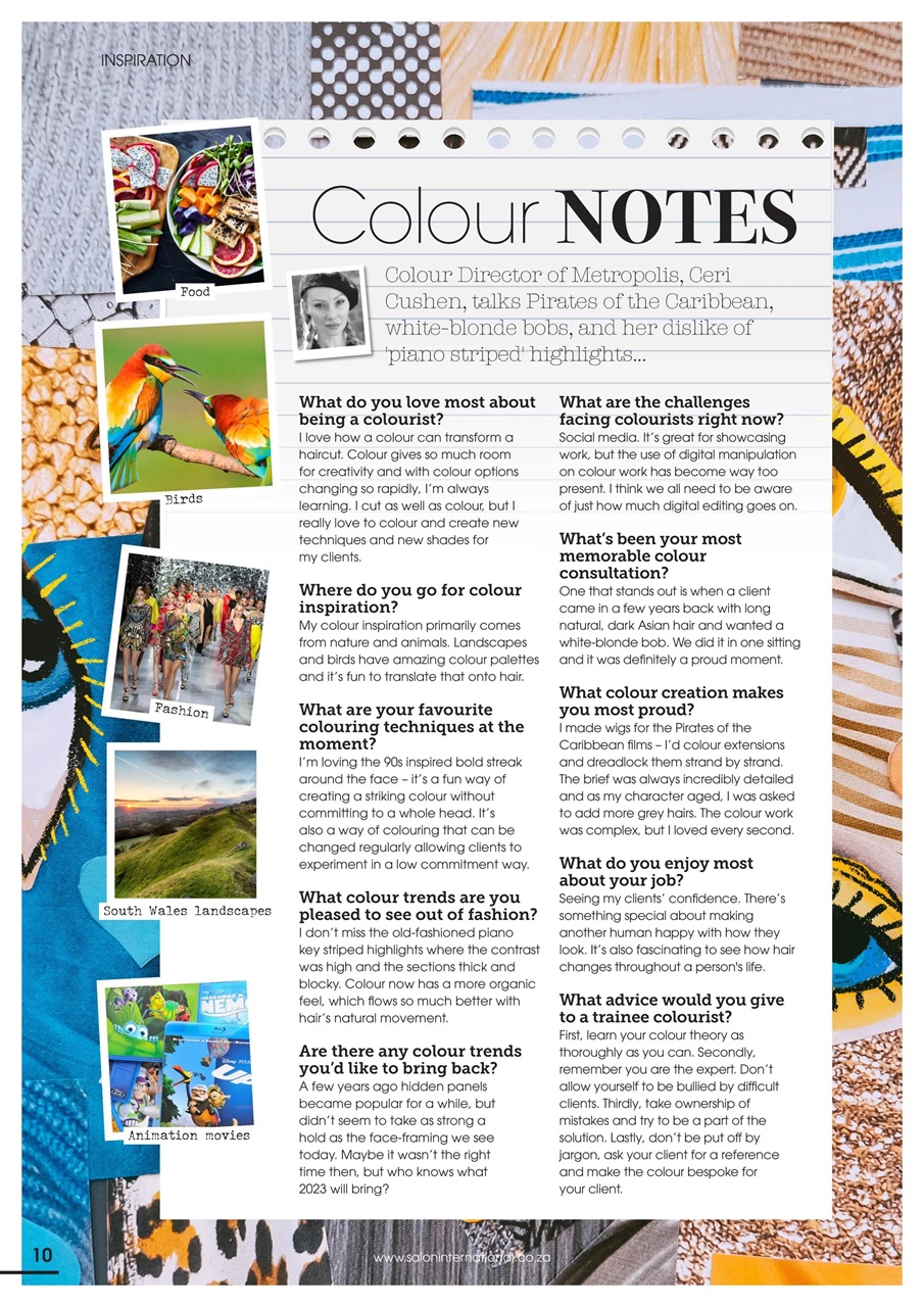 Salon International Preview Pages