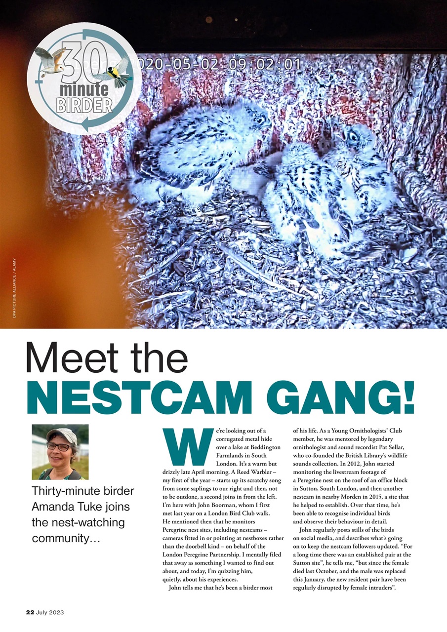 Bird Watching Preview Pages