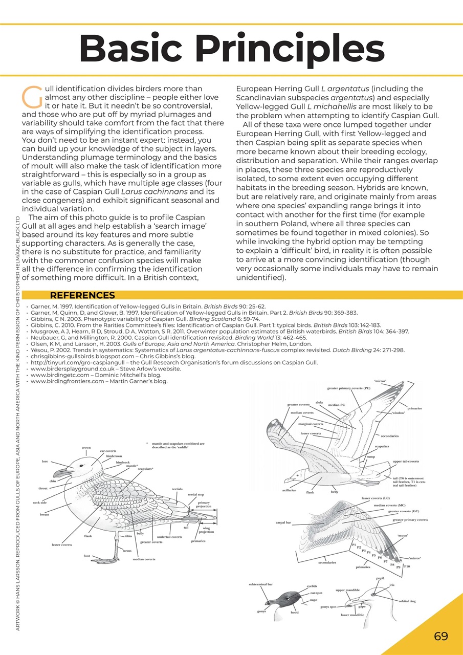 Birdwatch Magazine Preview Pages