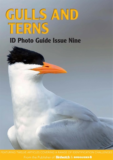 Bird ID Photo Guides issue 