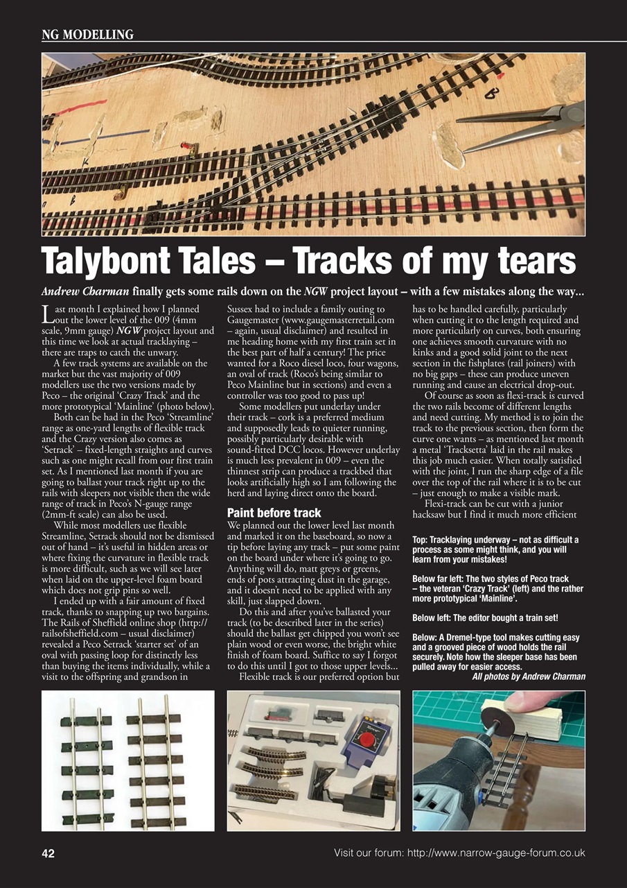 Narrow Gauge World Preview Pages