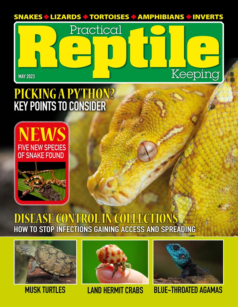 Practical Reptile Keeping Preview Pages