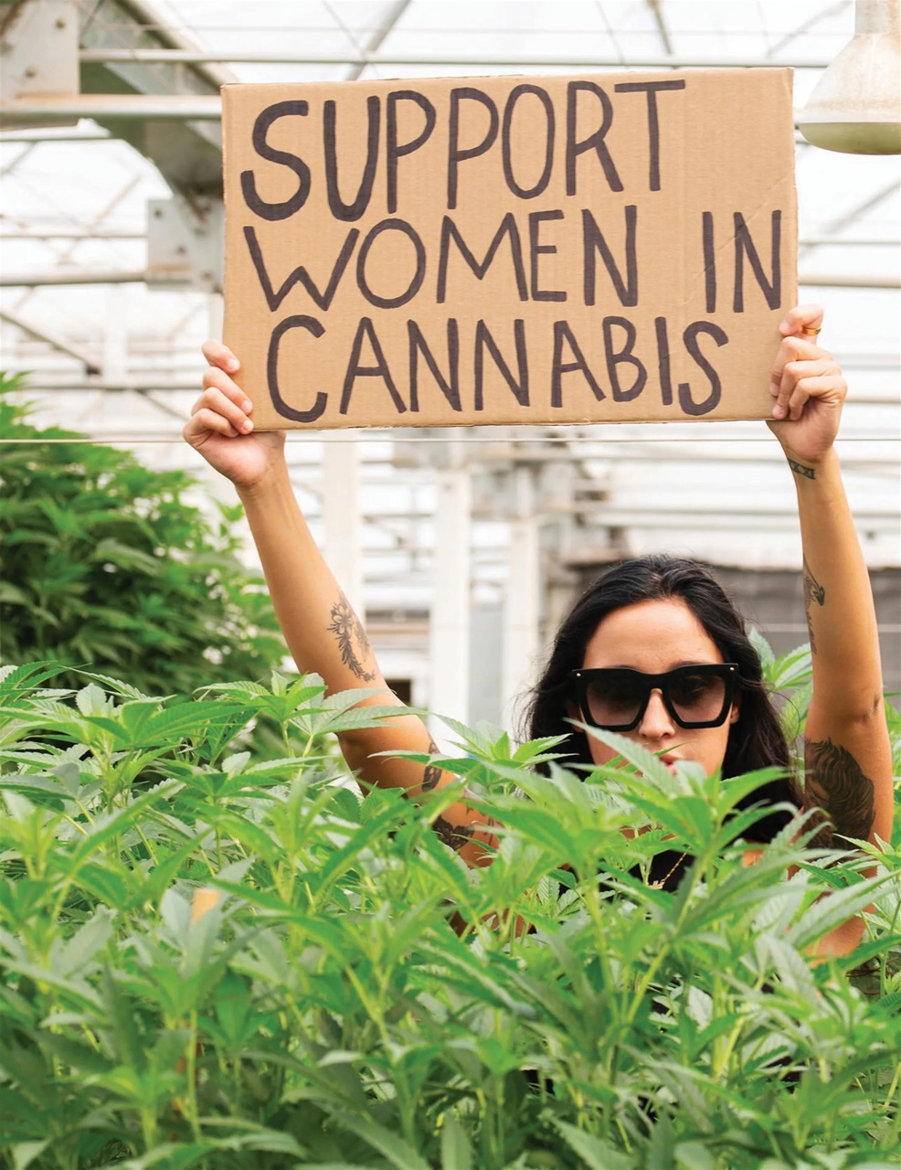 Cannabis Now Preview Pages