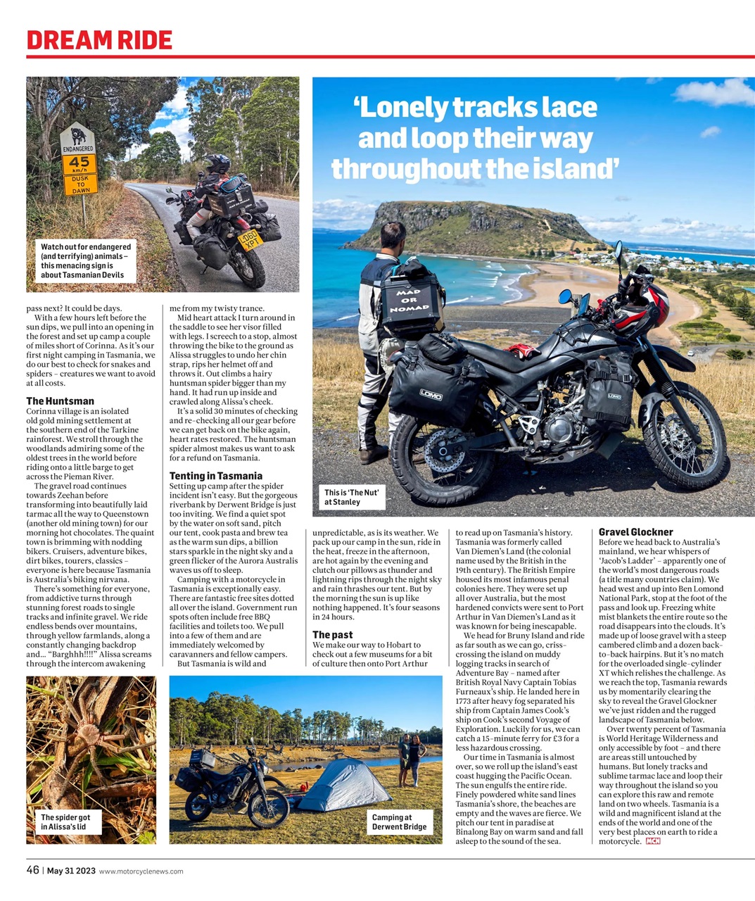MCN Preview Pages