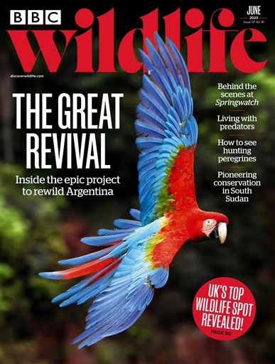 BBC Wildlife Magazine issue 