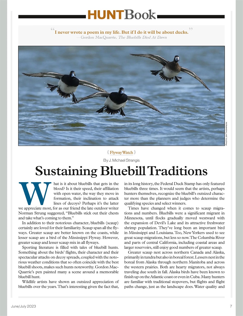 American Waterfowler Preview Pages