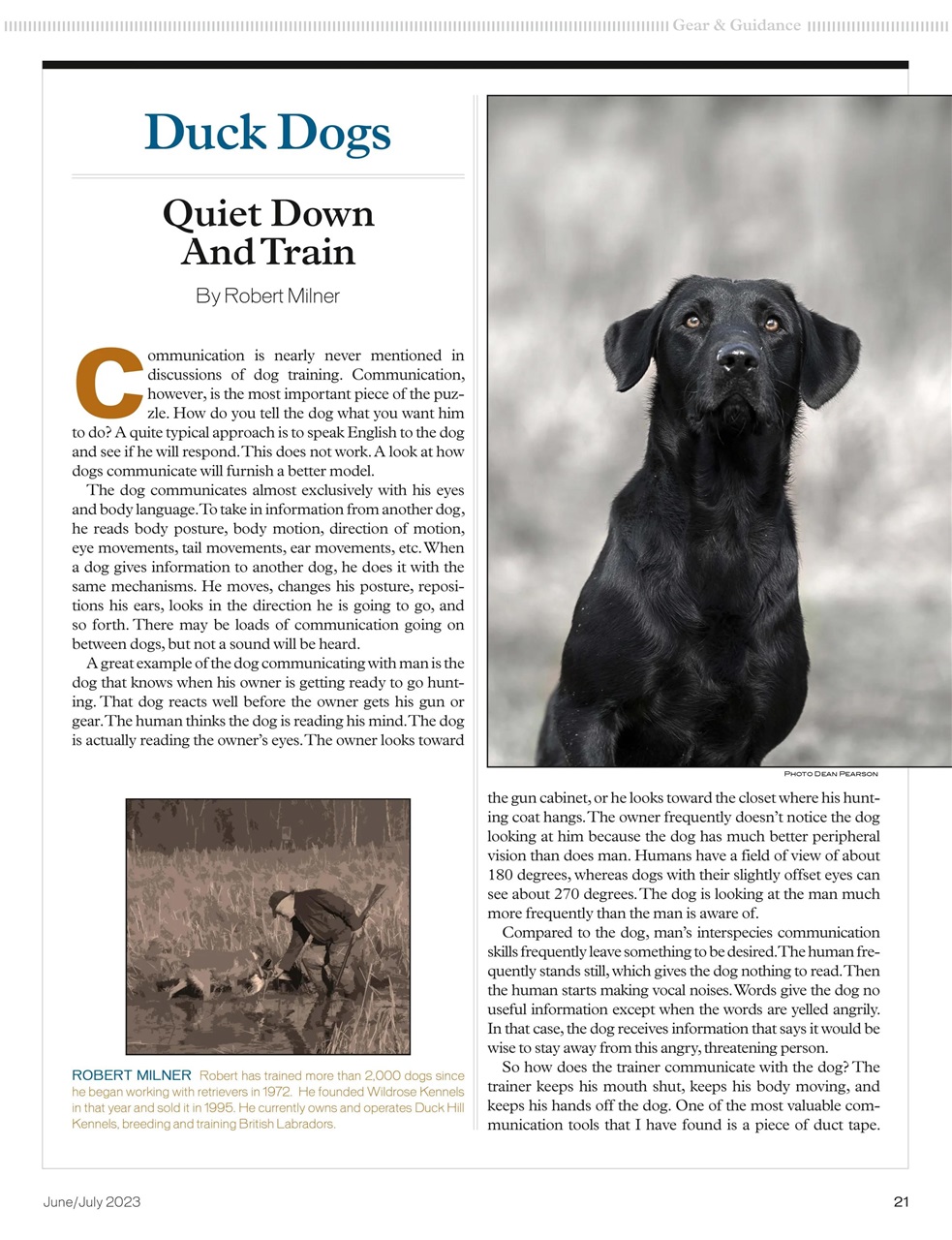 American Waterfowler Preview Pages