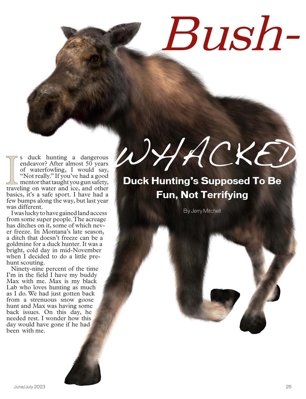 American Waterfowler Preview Pages