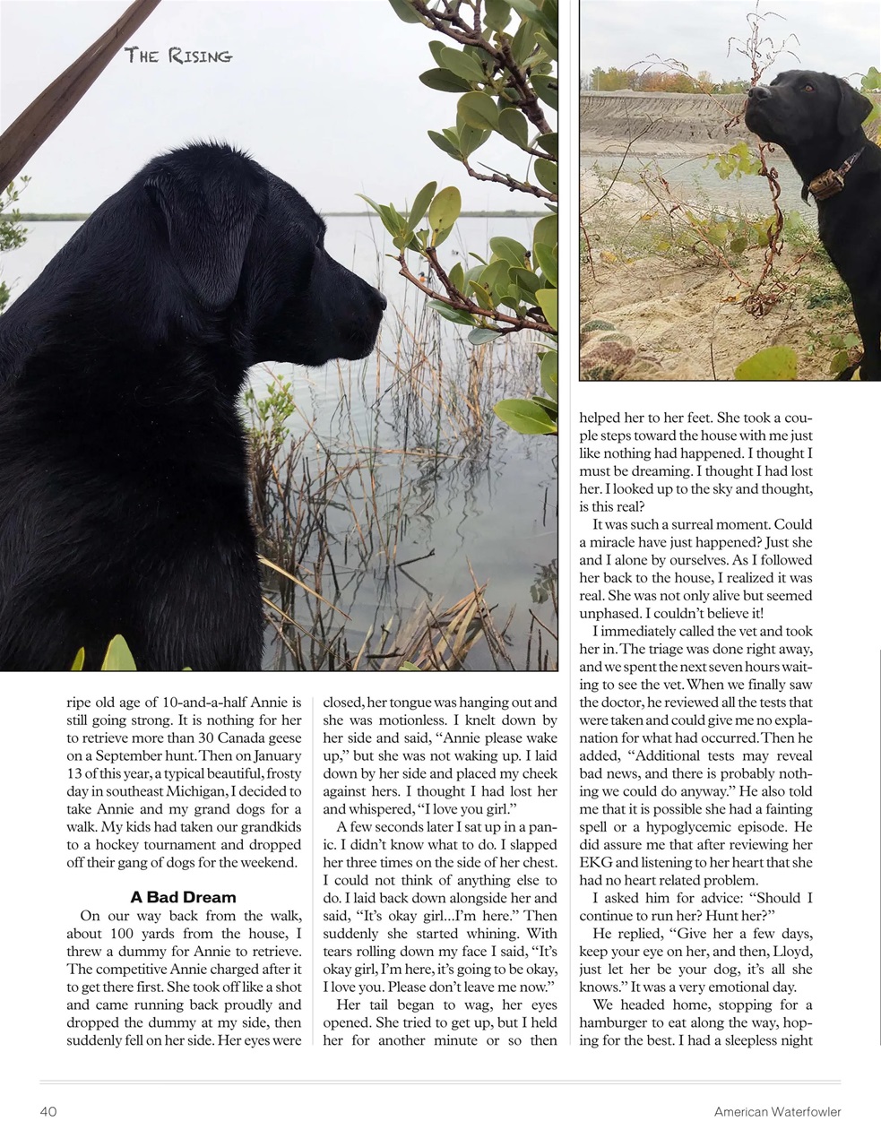 American Waterfowler Preview Pages