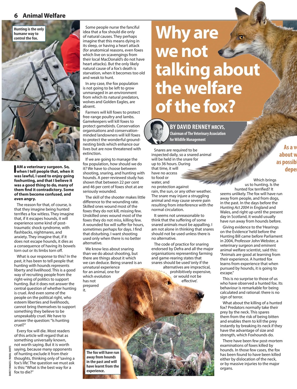 Countryman's Weekly Preview Pages
