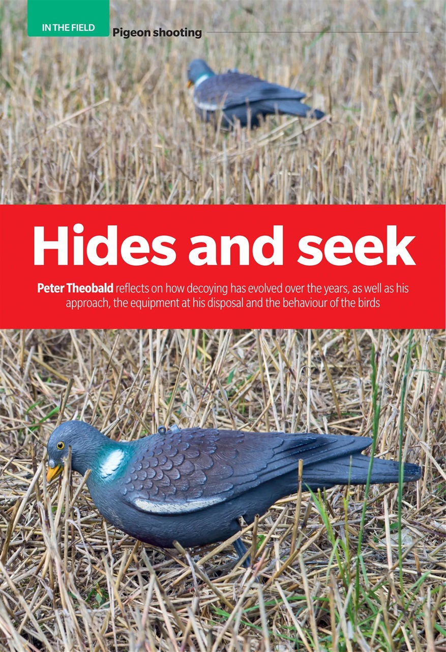 Sporting Gun Preview Pages