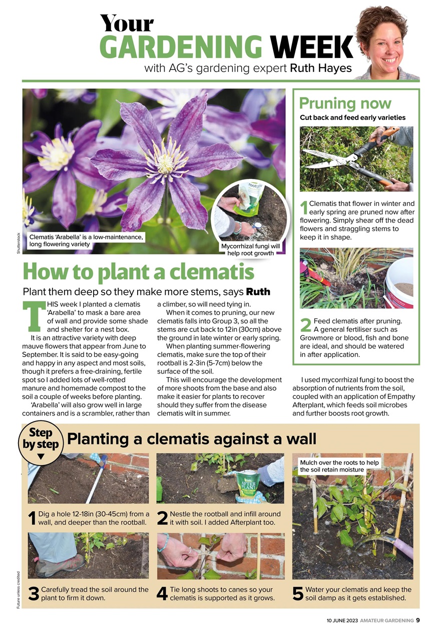 Amateur Gardening Preview Pages