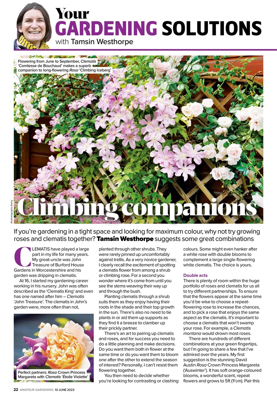 Amateur Gardening Preview Pages