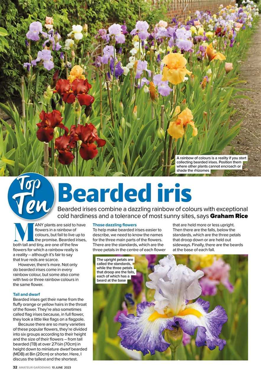 Amateur Gardening Preview Pages